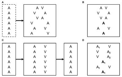 The Ventriloquist Illusion as a Tool to Study Multisensory Processing: An Update